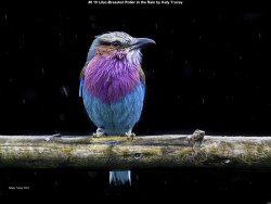 IMG005 (1) (1) (1) (1) (1) (1) (1) (1) (1) (1) (1) (1) (1) (1) (1) (1) (1) (1) (1) (1) (1) (1) (1) (1) (1) (1) (1) (1) (1) (1) (1) (1) (1) (1) (1) (1) (1) (1) (1) (1) (1) (1) (1) (1)