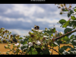 IMG005 (1) (1) (1) (1) (1) (1) (1) (1) (1) (1) (1) (1) (1) (1) (1) (1) (1) (1) (1) (1) (1) (1) (1) (1) (1) (1) (1) (1) (1) (1) (1) (1) (1) (1) (1) (1) (1) (1) (1) (1) (1) (1) (1) (1) (1) (1) (1) (1) (1)