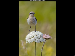 IMG005 (1) (1) (1) (1) (1) (1) (1) (1) (1) (1) (1) (1) (1) (1) (1) (1) (1) (1) (1) (1) (1) (1) (1) (1) (1) (1) (1) (1) (1) (1) (1) (1) (1) (1) (1) (1) (1) (1) (1) (1) (1) (1) (1) (1) (1) (1) (1) (1) (1) (1)