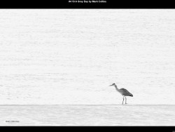 IMG005 (1) (1) (1) (1) (1) (1) (1) (1) (1) (1) (1) (1) (1) (1) (1) (1) (1) (1) (1) (1) (1) (1) (1) (1) (1) (1) (1) (1) (1) (1) (1) (1) (1) (1) (1) (1) (1) (1) (1) (1) (1) (1) (1) (1) (1) (1) (1) (1) (1) (1) (1)