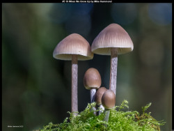 IMG005 (1) (1) (1) (1) (1) (1) (1) (1) (1) (1) (1) (1) (1) (1) (1) (1) (1) (1) (1) (1) (1) (1) (1) (1) (1) (1) (1) (1) (1) (1) (1) (1) (1) (1) (1) (1) (1) (1) (1) (1) (1) (1) (1) (1) (1) (1) (1) (1) (1) (1) (1) (1) (1) (1)