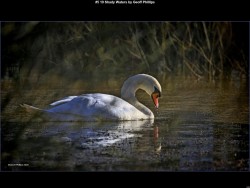 IMG006 (1) (1) (1) (1) (1) (1) (1) (1) (1) (1)