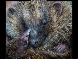 IMG006 (1) (1) (1) (1) (1) (1) (1) (1) (1) (1) (1) (1) (1) (1) (1)