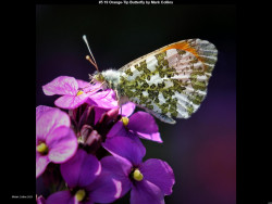 IMG006 (1) (1) (1) (1) (1) (1) (1) (1) (1) (1) (1) (1) (1) (1) (1) (1) (1) (1) (1)