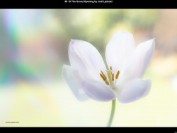 IMG006 (1) (1) (1) (1) (1) (1) (1) (1) (1) (1) (1) (1) (1) (1) (1) (1) (1) (1) (1) (1) (1) (1)