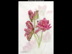 IMG006 (1) (1) (1) (1) (1) (1) (1) (1) (1) (1) (1) (1) (1) (1) (1) (1) (1) (1) (1) (1) (1) (1) (1)