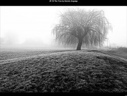 IMG006 (1) (1) (1) (1) (1) (1) (1) (1) (1) (1) (1) (1) (1) (1) (1) (1) (1) (1) (1) (1) (1) (1) (1) (1)