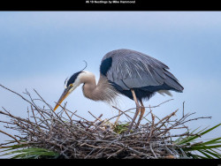 IMG006 (1) (1) (1) (1) (1) (1) (1) (1) (1) (1) (1) (1) (1) (1) (1) (1) (1) (1) (1) (1) (1) (1) (1) (1) (1) (1) (1) (1) (1) (1) (1)