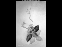 IMG006 (1) (1) (1) (1) (1) (1) (1) (1) (1) (1) (1) (1) (1) (1) (1) (1) (1) (1) (1) (1) (1) (1) (1) (1) (1) (1) (1) (1) (1) (1) (1) (1) (1) (1) (1) (1) (1) (1) (1) (1) (1) (1)