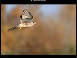 IMG006 (1) (1) (1) (1) (1) (1) (1) (1) (1) (1) (1) (1) (1) (1) (1) (1) (1) (1) (1) (1) (1) (1) (1) (1) (1) (1) (1) (1) (1) (1) (1) (1) (1) (1) (1) (1) (1) (1) (1) (1) (1) (1) (1) (1) (1)