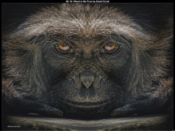 IMG006 (1) (1) (1) (1) (1) (1) (1) (1) (1) (1) (1) (1) (1) (1) (1) (1) (1) (1) (1) (1) (1) (1) (1) (1) (1) (1) (1) (1) (1) (1) (1) (1) (1) (1) (1) (1) (1) (1) (1) (1) (1) (1) (1) (1) (1) (1) (1) (1)