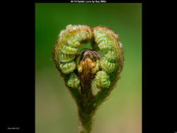 IMG006 (1) (1) (1) (1) (1) (1) (1) (1) (1) (1) (1) (1) (1) (1) (1) (1) (1) (1) (1) (1) (1) (1) (1) (1) (1) (1) (1) (1) (1) (1) (1) (1) (1) (1) (1) (1) (1) (1) (1) (1) (1) (1) (1) (1) (1) (1) (1) (1) (1)