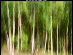 IMG006 (1) (1) (1) (1) (1) (1) (1) (1) (1) (1) (1) (1) (1) (1) (1) (1) (1) (1) (1) (1) (1) (1) (1) (1) (1) (1) (1) (1) (1) (1) (1) (1) (1) (1) (1) (1) (1) (1) (1) (1) (1) (1) (1) (1) (1) (1) (1) (1) (1) (1) (1) (1) (1) (1) (1)