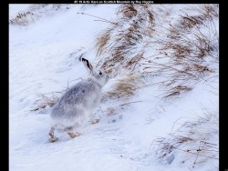 IMG007 (1) (1) (1) (1) (1) (1)