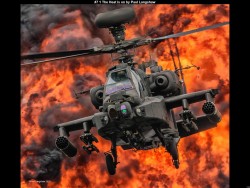 IMG007 (1) (1) (1) (1) (1) (1) (1) (1) (1) (1) (1) (1)