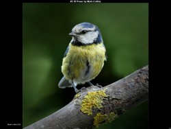 IMG007 (1) (1) (1) (1) (1) (1) (1) (1) (1) (1) (1) (1) (1)