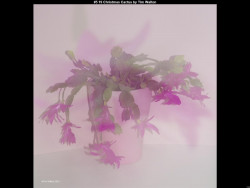 IMG007 (1) (1) (1) (1) (1) (1) (1) (1) (1) (1) (1) (1) (1) (1) (1) (1) (1) (1) (1)