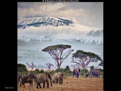 IMG007 (1) (1) (1) (1) (1) (1) (1) (1) (1) (1) (1) (1) (1) (1) (1) (1) (1) (1) (1) (1) (1) (1) (1) (1) (1) (1) (1) (1) (1) (1)