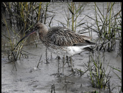 IMG007 (1) (1) (1) (1) (1) (1) (1) (1) (1) (1) (1) (1) (1) (1) (1) (1) (1) (1) (1) (1) (1) (1) (1) (1) (1) (1) (1) (1) (1) (1) (1) (1) (1) (1) (1) (1) (1) (1) (1)