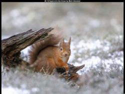 IMG007 (1) (1) (1) (1) (1) (1) (1) (1) (1) (1) (1) (1) (1) (1) (1) (1) (1) (1) (1) (1) (1) (1) (1) (1) (1) (1) (1) (1) (1) (1) (1) (1) (1) (1) (1) (1) (1) (1) (1) (1)