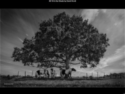 IMG007 (1) (1) (1) (1) (1) (1) (1) (1) (1) (1) (1) (1) (1) (1) (1) (1) (1) (1) (1) (1) (1) (1) (1) (1) (1) (1) (1) (1) (1) (1) (1) (1) (1) (1) (1) (1) (1) (1) (1) (1) (1) (1)