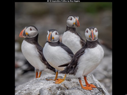 IMG007 (1) (1) (1) (1) (1) (1) (1) (1) (1) (1) (1) (1) (1) (1) (1) (1) (1) (1) (1) (1) (1) (1) (1) (1) (1) (1) (1) (1) (1) (1) (1) (1) (1) (1) (1) (1) (1) (1) (1) (1) (1) (1) (1) (1) (1) (1) (1) (1) (1)