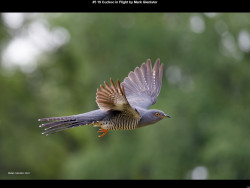 IMG007 (1) (1) (1) (1) (1) (1) (1) (1) (1) (1) (1) (1) (1) (1) (1) (1) (1) (1) (1) (1) (1) (1) (1) (1) (1) (1) (1) (1) (1) (1) (1) (1) (1) (1) (1) (1) (1) (1) (1) (1) (1) (1) (1) (1) (1) (1) (1) (1) (1) (1) (1) (1) (1) (1)