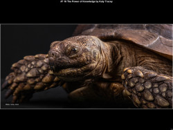 IMG007 (1) (1) (1) (1) (1) (1) (1) (1) (1) (1) (1) (1) (1) (1) (1) (1) (1) (1) (1) (1) (1) (1) (1) (1) (1) (1) (1) (1) (1) (1) (1) (1) (1) (1) (1) (1) (1) (1) (1) (1) (1) (1) (1) (1) (1) (1) (1) (1) (1) (1) (1) (1) (1) (1) (1)