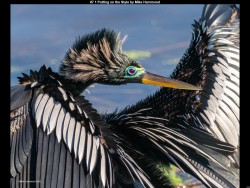 IMG008 (1) (1) (1) (1) (1) (1) (1) (1) (1) (1) (1) (1)