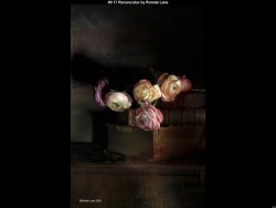 IMG008 (1) (1) (1) (1) (1) (1) (1) (1) (1) (1) (1) (1) (1)