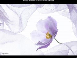 IMG008 (1) (1) (1) (1) (1) (1) (1) (1) (1) (1) (1) (1) (1) (1) (1)