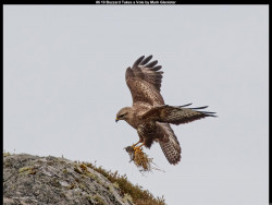 IMG008 (1) (1) (1) (1) (1) (1) (1) (1) (1) (1) (1) (1) (1) (1) (1) (1) (1) (1) (1) (1) (1) (1)