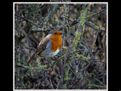 IMG008 (1) (1) (1) (1) (1) (1) (1) (1) (1) (1) (1) (1) (1) (1) (1) (1) (1) (1) (1) (1) (1) (1) (1) (1) (1) (1) (1) (1) (1) (1) (1) (1)