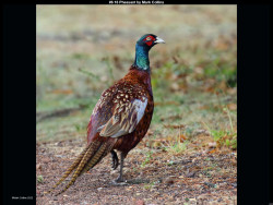 IMG008 (1) (1) (1) (1) (1) (1) (1) (1) (1) (1) (1) (1) (1) (1) (1) (1) (1) (1) (1) (1) (1) (1) (1) (1) (1) (1) (1) (1) (1) (1) (1) (1) (1) (1) (1) (1) (1) (1) (1) (1)