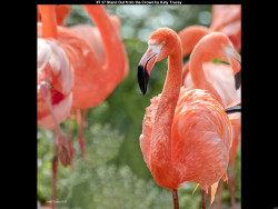 IMG008 (1) (1) (1) (1) (1) (1) (1) (1) (1) (1) (1) (1) (1) (1) (1) (1) (1) (1) (1) (1) (1) (1) (1) (1) (1) (1) (1) (1) (1) (1) (1) (1) (1) (1) (1) (1) (1) (1) (1) (1) (1) (1) (1) (1) (1)