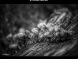 IMG008 (1) (1) (1) (1) (1) (1) (1) (1) (1) (1) (1) (1) (1) (1) (1) (1) (1) (1) (1) (1) (1) (1) (1) (1) (1) (1) (1) (1) (1) (1) (1) (1) (1) (1) (1) (1) (1) (1) (1) (1) (1) (1) (1) (1) (1) (1) (1) (1) (1) (1) (1) (1)