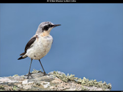 IMG008 (1) (1) (1) (1) (1) (1) (1) (1) (1) (1) (1) (1) (1) (1) (1) (1) (1) (1) (1) (1) (1) (1) (1) (1) (1) (1) (1) (1) (1) (1) (1) (1) (1) (1) (1) (1) (1) (1) (1) (1) (1) (1) (1) (1) (1) (1) (1) (1) (1) (1) (1) (1) (1) (1)