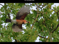 IMG008 (1) (1) (1) (1) (1) (1) (1) (1) (1) (1) (1) (1) (1) (1) (1) (1) (1) (1) (1) (1) (1) (1) (1) (1) (1) (1) (1) (1) (1) (1) (1) (1) (1) (1) (1) (1) (1) (1) (1) (1) (1) (1) (1) (1) (1) (1) (1) (1) (1) (1) (1) (1) (1) (1) (1) (1)