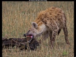 IMG009 (1) (1) (1) (1) (1) (1)