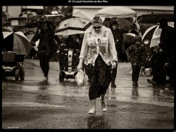 IMG009 (1) (1) (1) (1) (1) (1) (1)