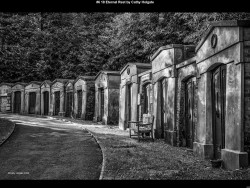 IMG009 (1) (1) (1) (1) (1) (1) (1) (1) (1)