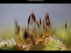 IMG009 (1) (1) (1) (1) (1) (1) (1) (1) (1) (1) (1) (1) (1)