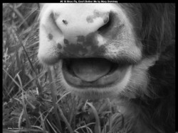 IMG009 (1) (1) (1) (1) (1) (1) (1) (1) (1) (1) (1) (1) (1) (1)