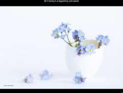 IMG009 (1) (1) (1) (1) (1) (1) (1) (1) (1) (1) (1) (1) (1) (1) (1)