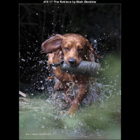 IMG009 (1) (1) (1) (1) (1) (1) (1) (1) (1) (1) (1) (1) (1) (1) (1) (1) (1) (1)