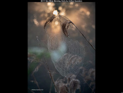 IMG009 (1) (1) (1) (1) (1) (1) (1) (1) (1) (1) (1) (1) (1) (1) (1) (1) (1) (1) (1) (1)