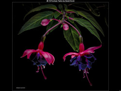 IMG009 (1) (1) (1) (1) (1) (1) (1) (1) (1) (1) (1) (1) (1) (1) (1) (1) (1) (1) (1) (1) (1) (1)