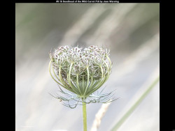 IMG009 (1) (1) (1) (1) (1) (1) (1) (1) (1) (1) (1) (1) (1) (1) (1) (1) (1) (1) (1) (1) (1) (1) (1)