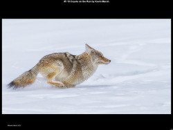 IMG009 (1) (1) (1) (1) (1) (1) (1) (1) (1) (1) (1) (1) (1) (1) (1) (1) (1) (1) (1) (1) (1) (1) (1) (1) (1)