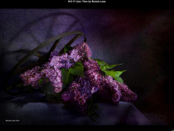 IMG009 (1) (1) (1) (1) (1) (1) (1) (1) (1) (1) (1) (1) (1) (1) (1) (1) (1) (1) (1) (1) (1) (1) (1) (1) (1) (1) (1) (1) (1) (1)